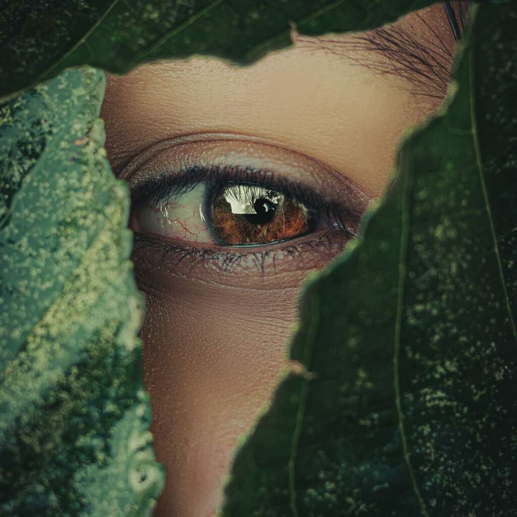 track-artwork