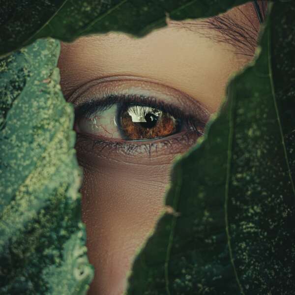 Perception